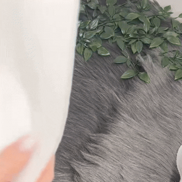 Mutandine Comode per il Training al Vasino - TotTrainer