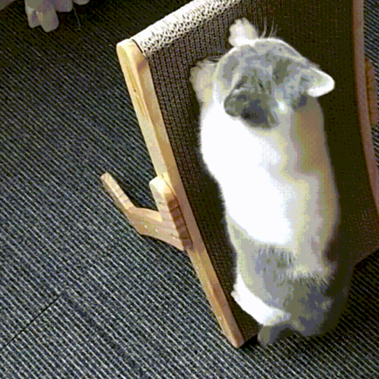 Il Posto di Grattamento e Poltrona 3-in-1 per Gatti – ClawLounge