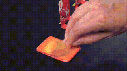 Gioco della Rana Attiva per Giovani e Anziani – FrogFlip