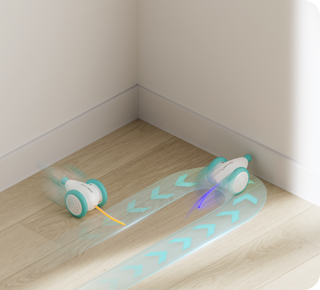 Il Giocattolo da Masticare Definitivo per Gatti – WhiskerPlay