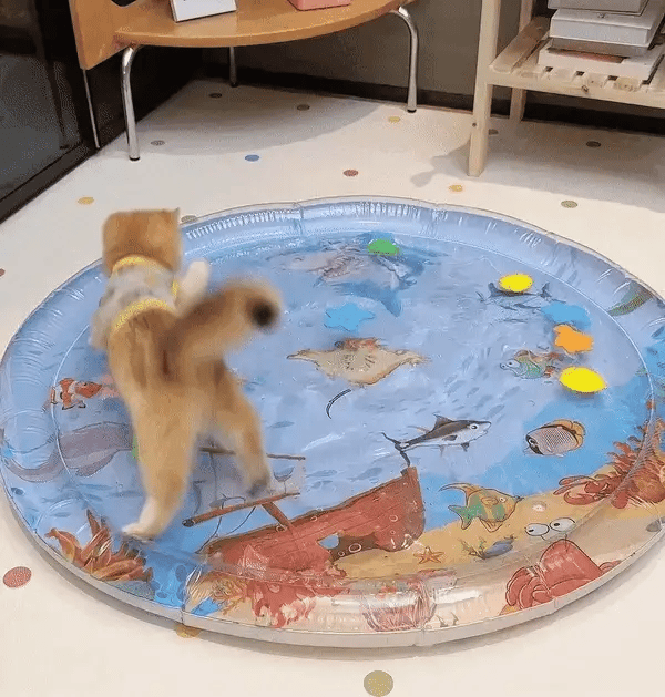 Tappeto da Gioco Interattivo per Gatti – PurrPulse