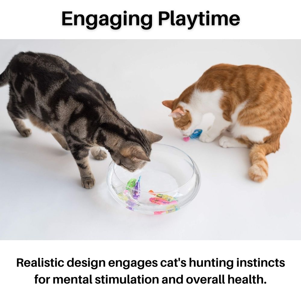 Set da Gioco per Gatti – AquaPurr