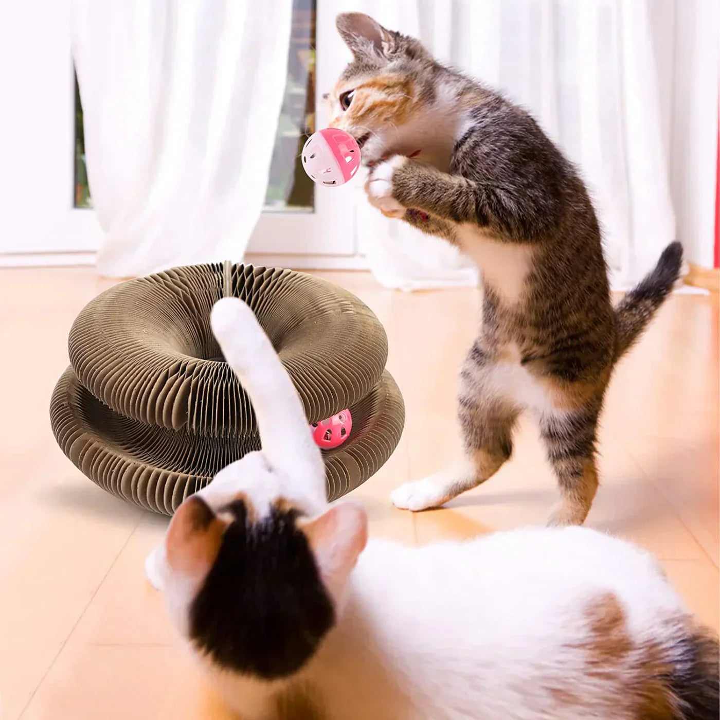 Divertimento Attivo per il Tuo Gatto - PurrFit