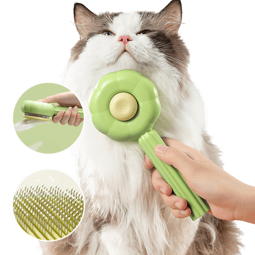 Spazzola per Gatti Auto-Pulente - PurrfectBrush