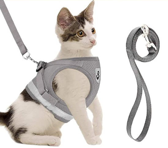 Imbracatura per Gatti con Guinzaglio - AdventureKit
