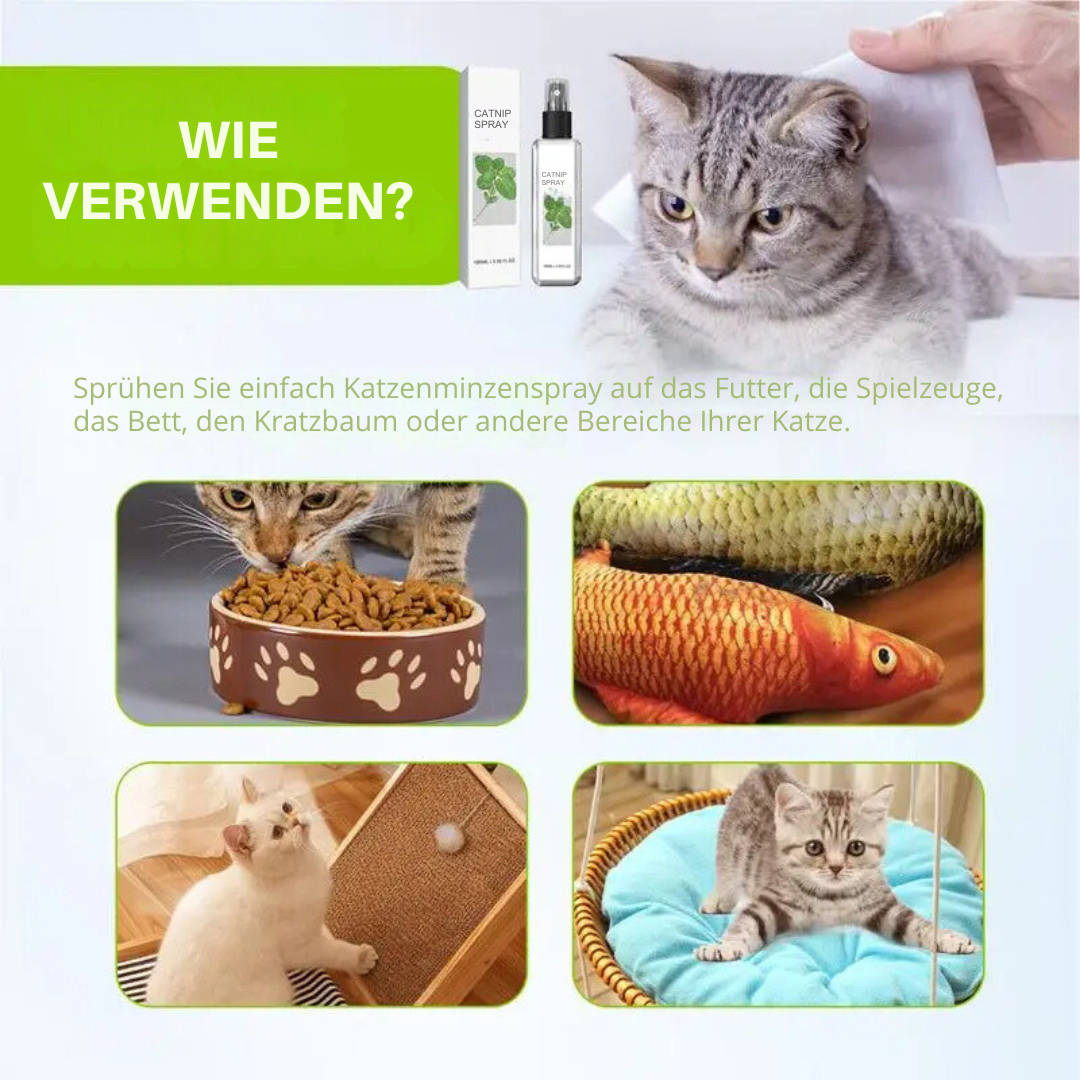 Spray Rilassante per Gatti - Spray SilverVine Bliss