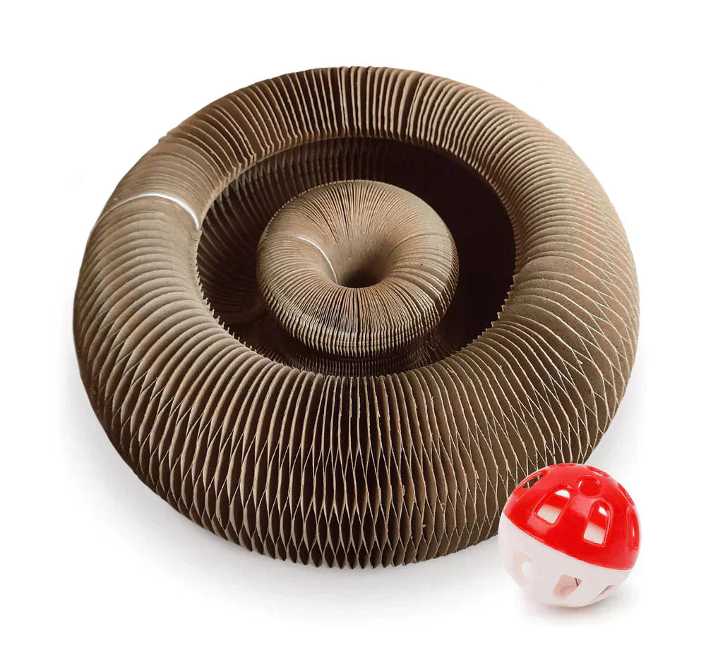 Divertimento Attivo per il Tuo Gatto - PurrFit