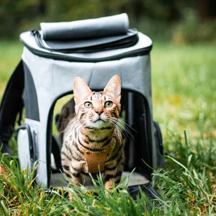 Zaino per Gatti – PurrPack