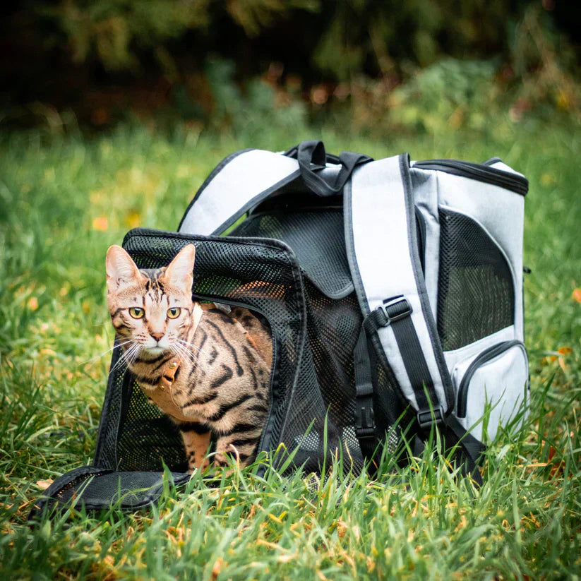 Zaino per Gatti – PurrPack