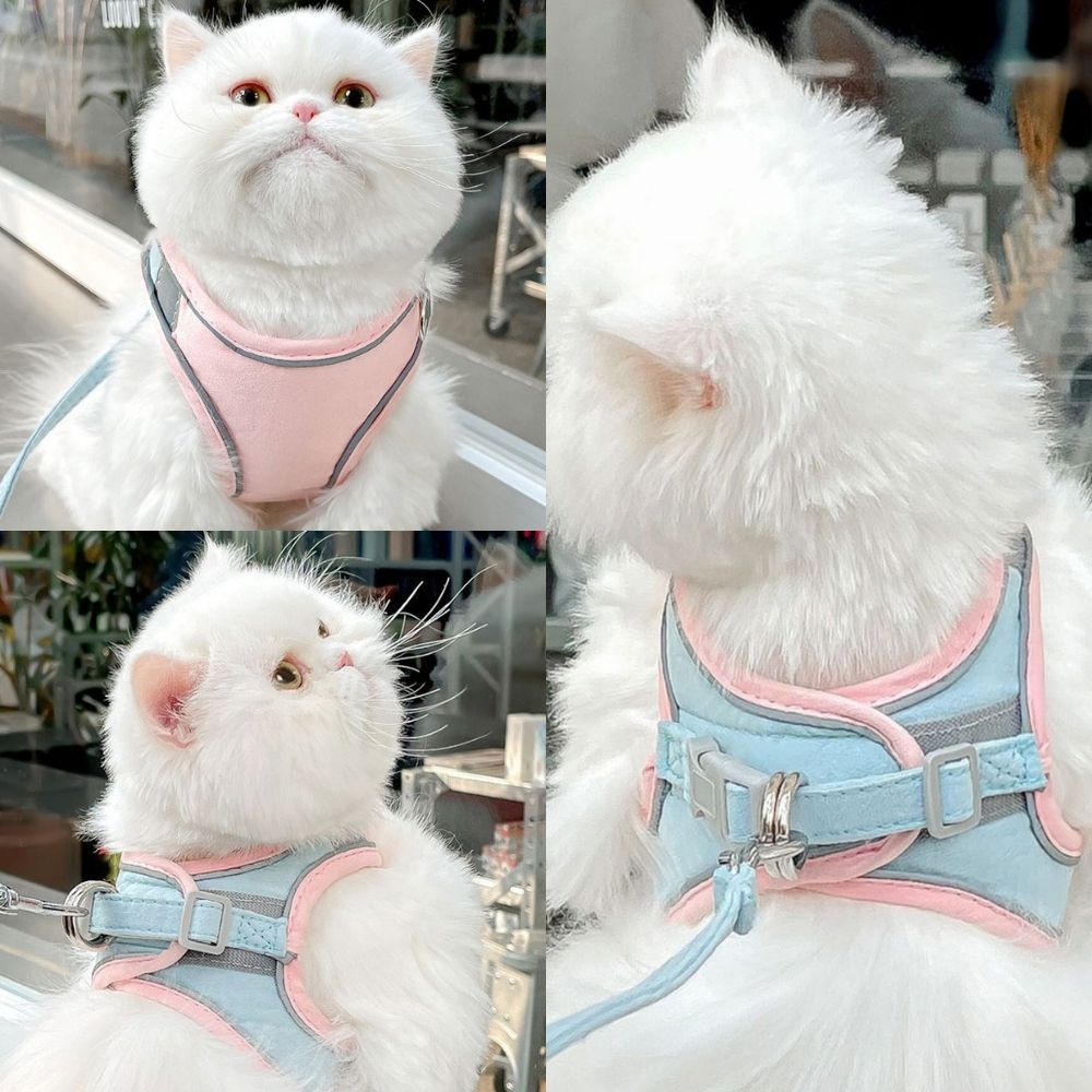 Imbracatura per Gatti – Oscar