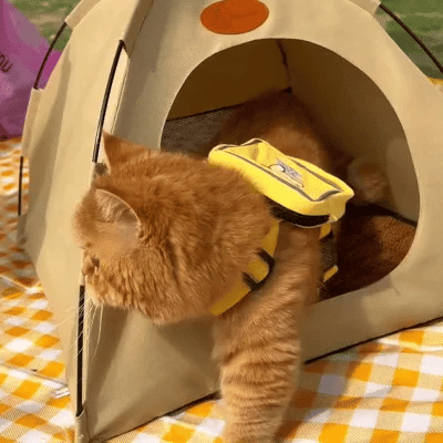 Tenda Raffreddante per Gatti - Rifugio CoolCat