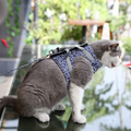 KittyComfort | Conjunto de peitorais antiescape para gatos