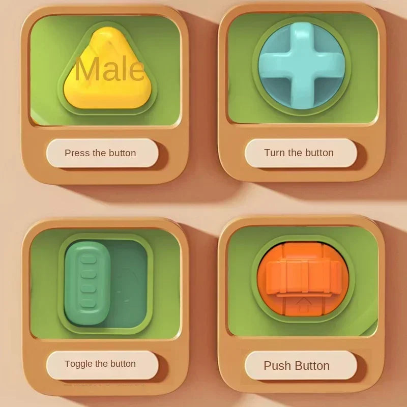 Peek & Play | Giocattolo Educativo per Bambini - Scoprire & Giocare