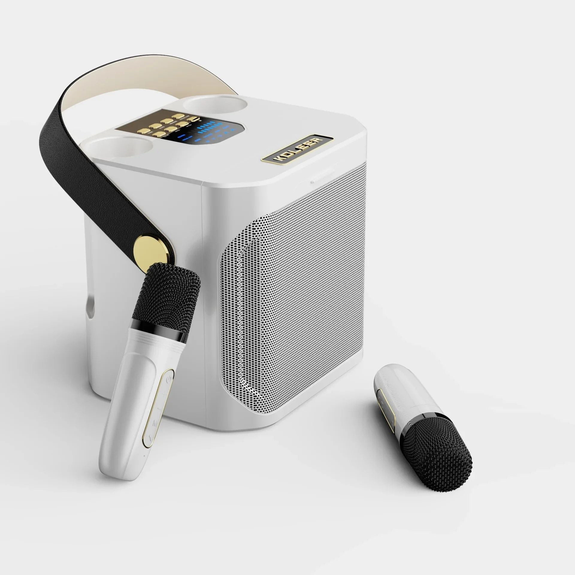 Potente Cassa Karaoke Bluetooth Portatile - Surround 360°