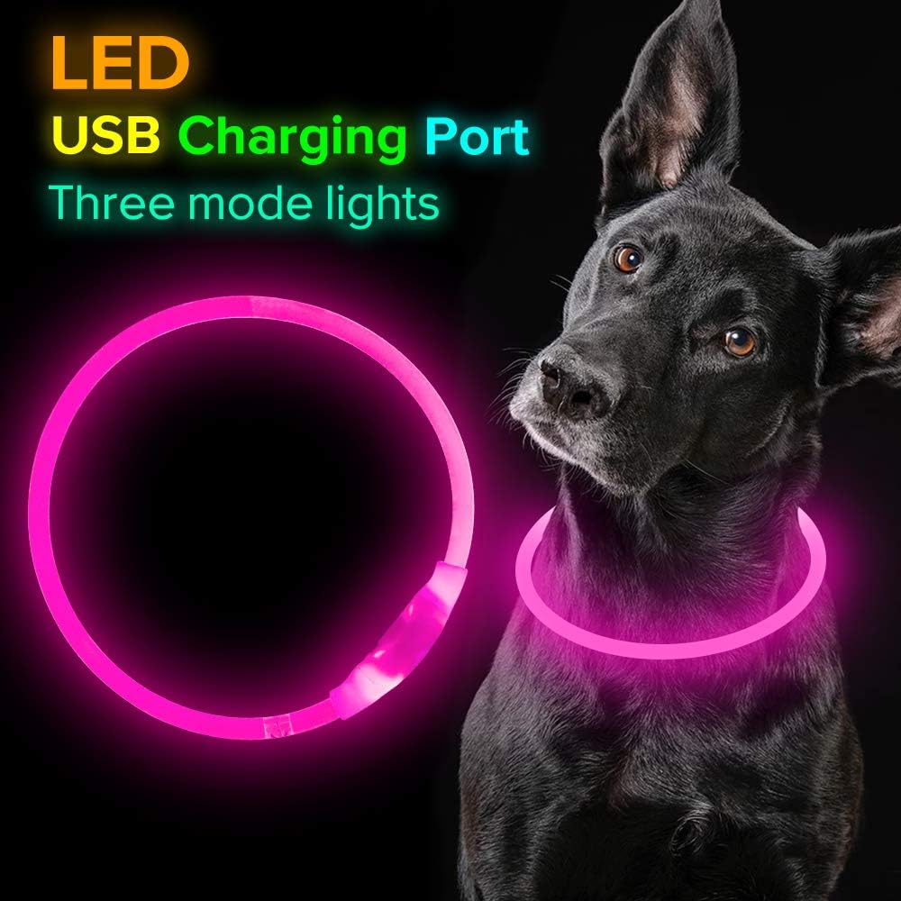 Collare per Cani GlowSafe LED – Luce di Sicurezza Ricaricabile USB