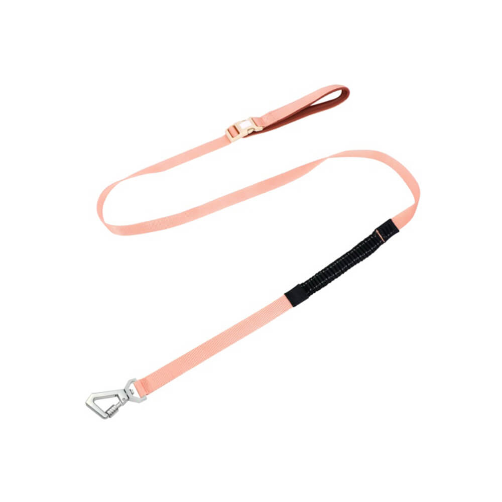 Imbracatura Antisgancio per Cani con Guinzaglio Multifunzionale - AquaCool