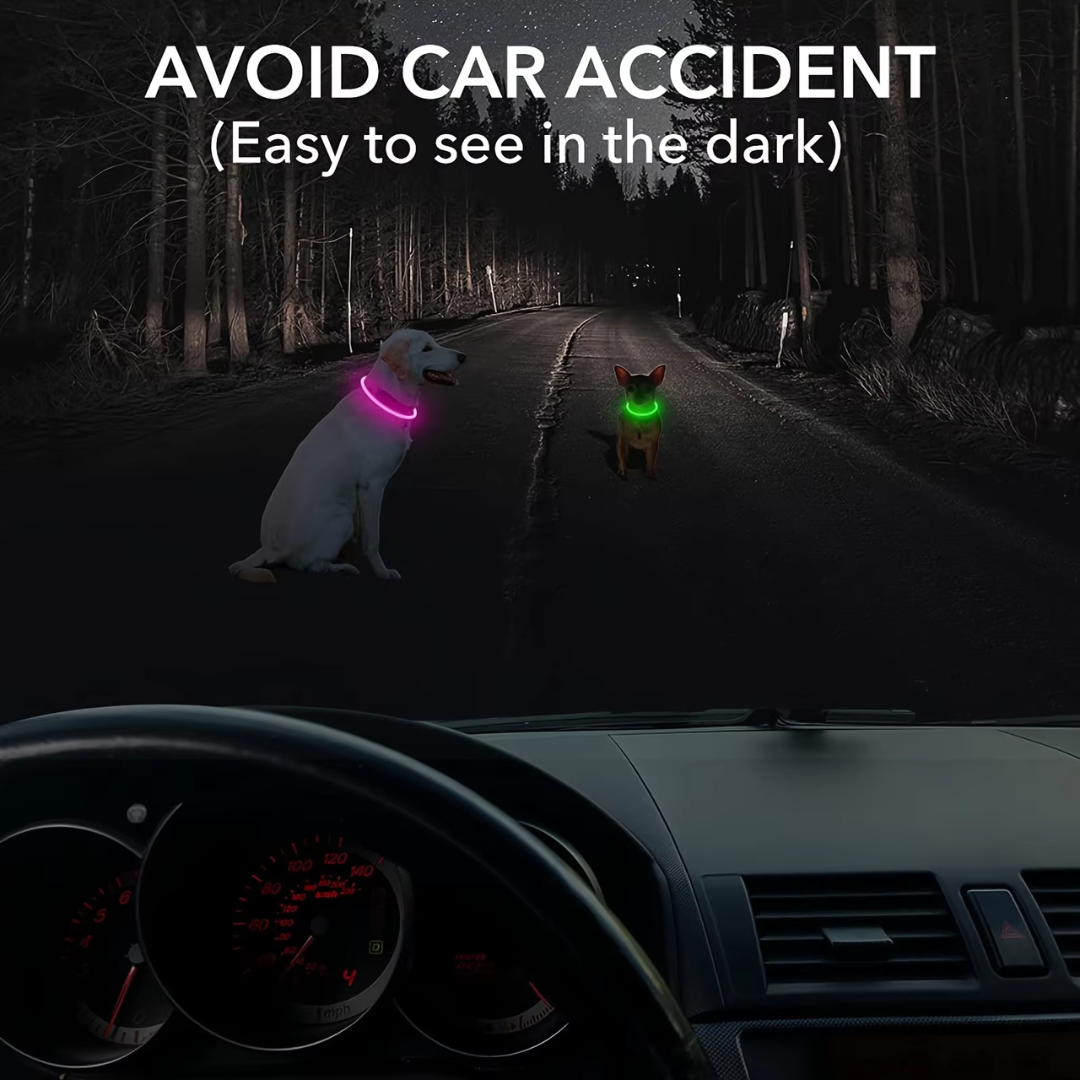 Collare per Cani GlowSafe LED – Luce di Sicurezza Ricaricabile USB