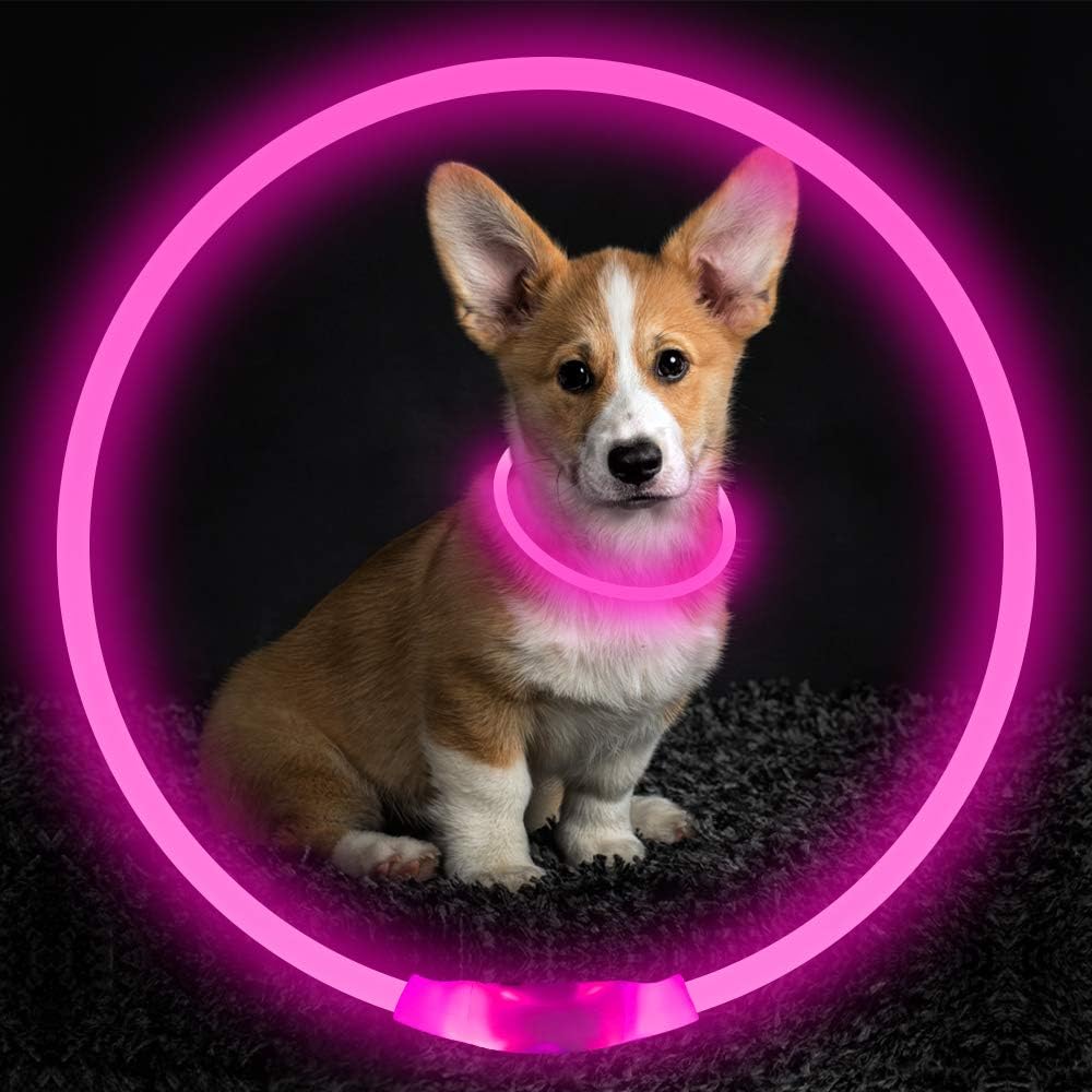 Collare per Cani GlowSafe LED – Luce di Sicurezza Ricaricabile USB