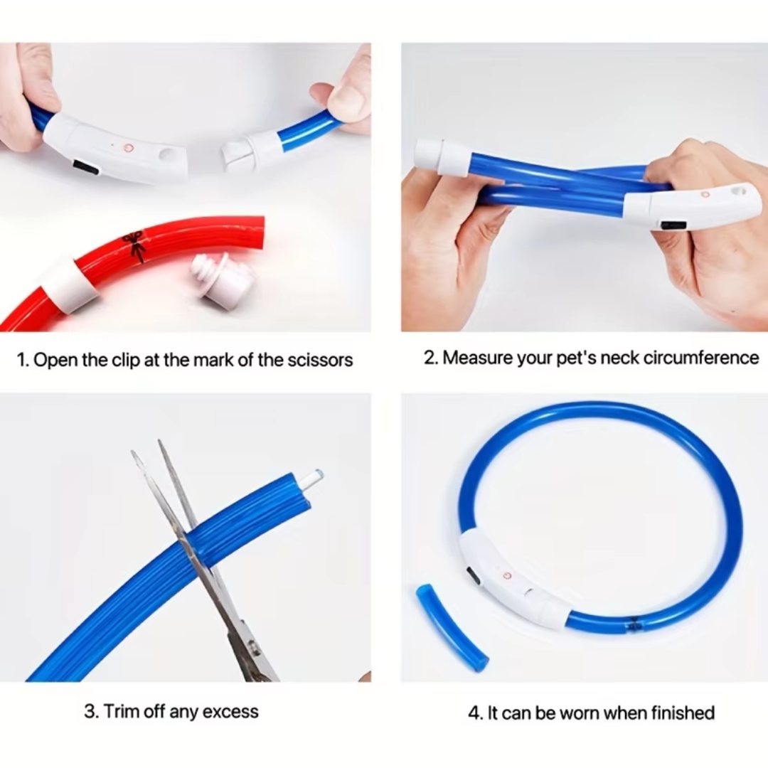 Collare per Cani GlowSafe LED – Luce di Sicurezza Ricaricabile USB
