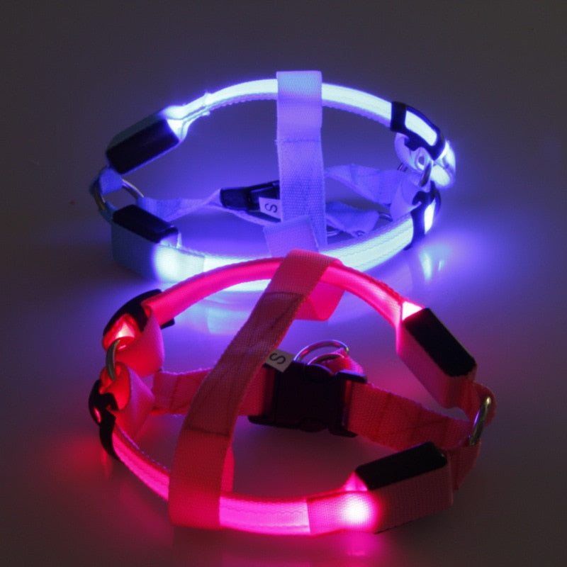 Imbracatura per Cani con LED - Glow&Go