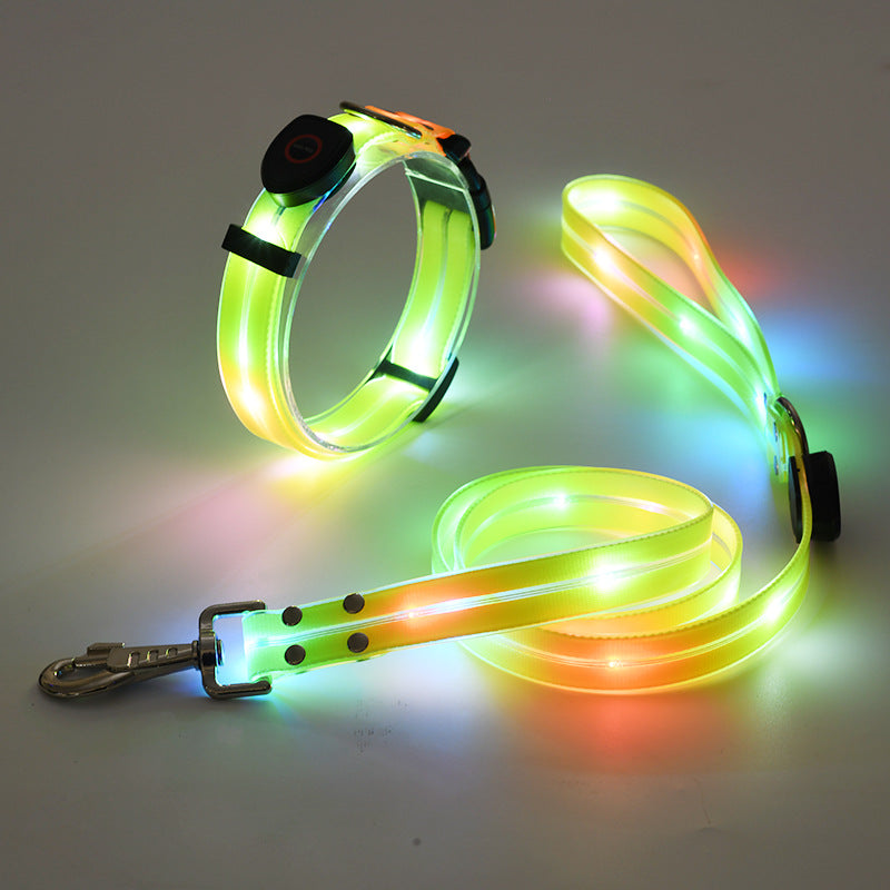 Collare LED luminoso per cani con guinzaglio - NightBright