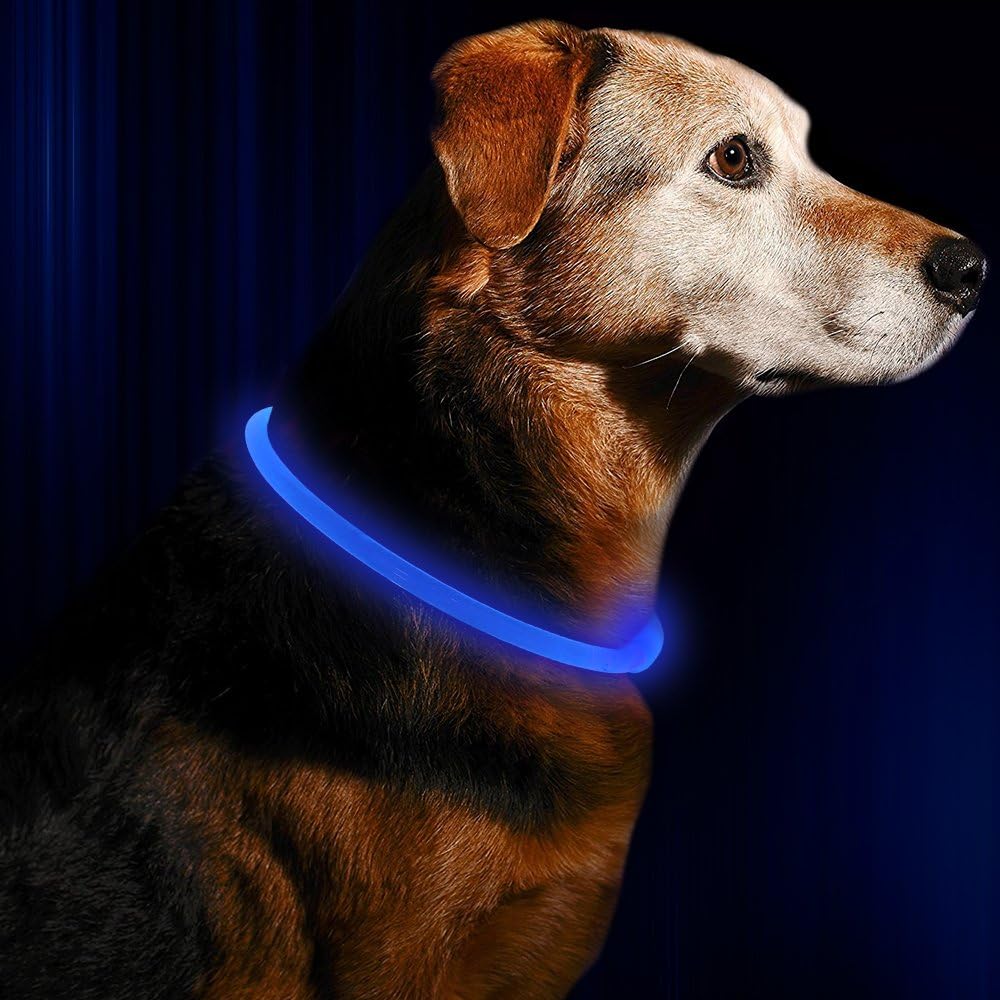 Collare per Cani GlowSafe LED – Luce di Sicurezza Ricaricabile USB