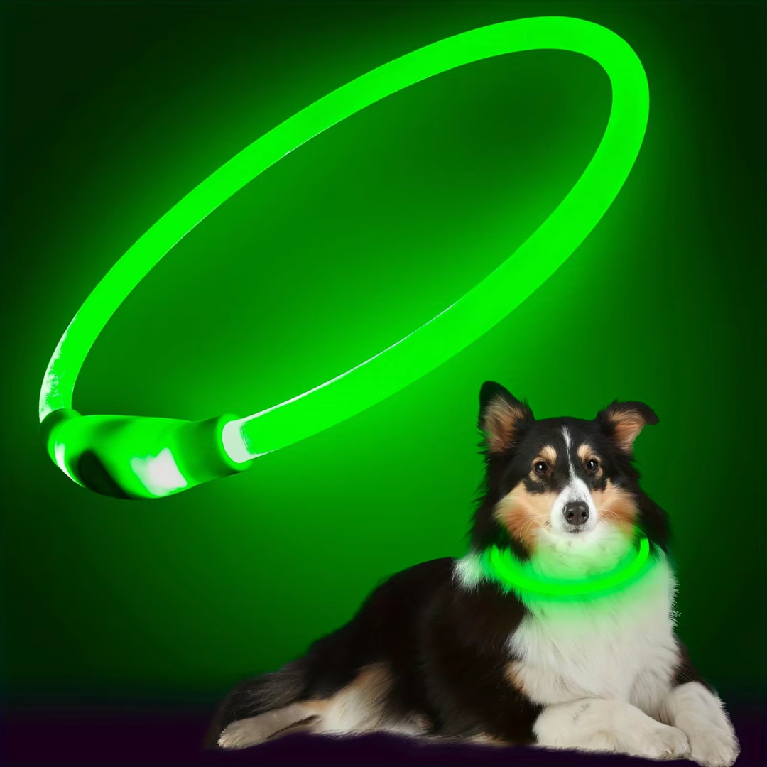 Collare per Cani GlowSafe LED – Luce di Sicurezza Ricaricabile USB
