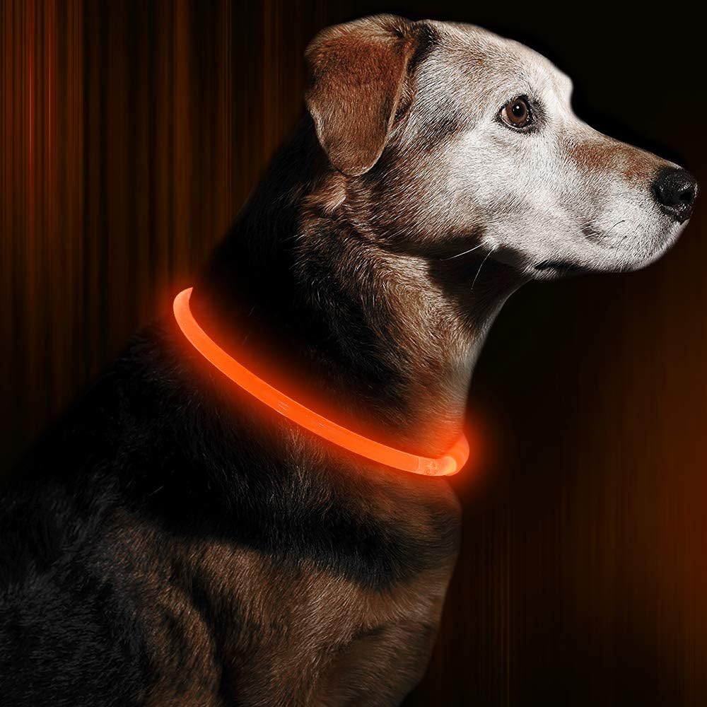 Collare per Cani GlowSafe LED – Luce di Sicurezza Ricaricabile USB