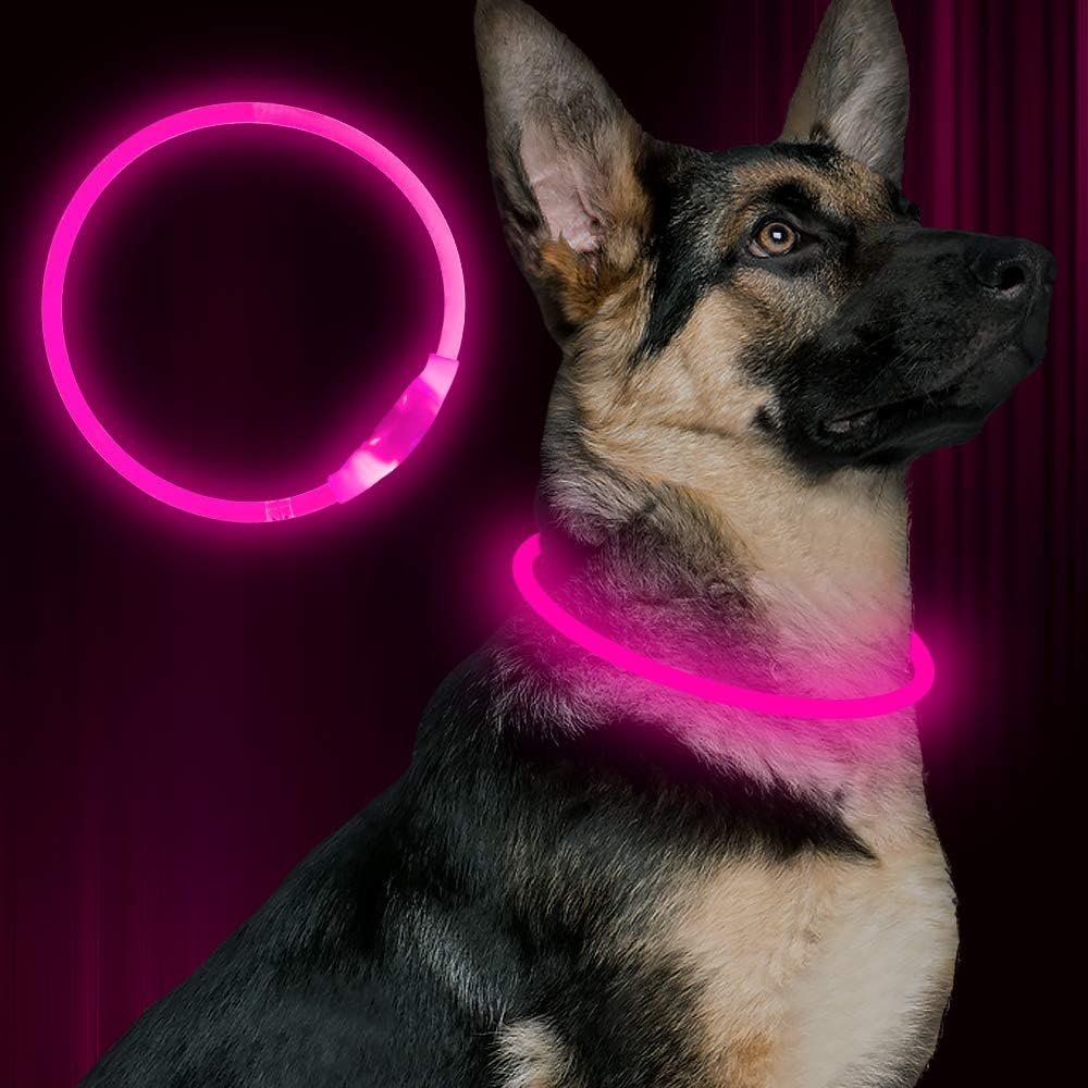 Collare per Cani GlowSafe LED – Luce di Sicurezza Ricaricabile USB