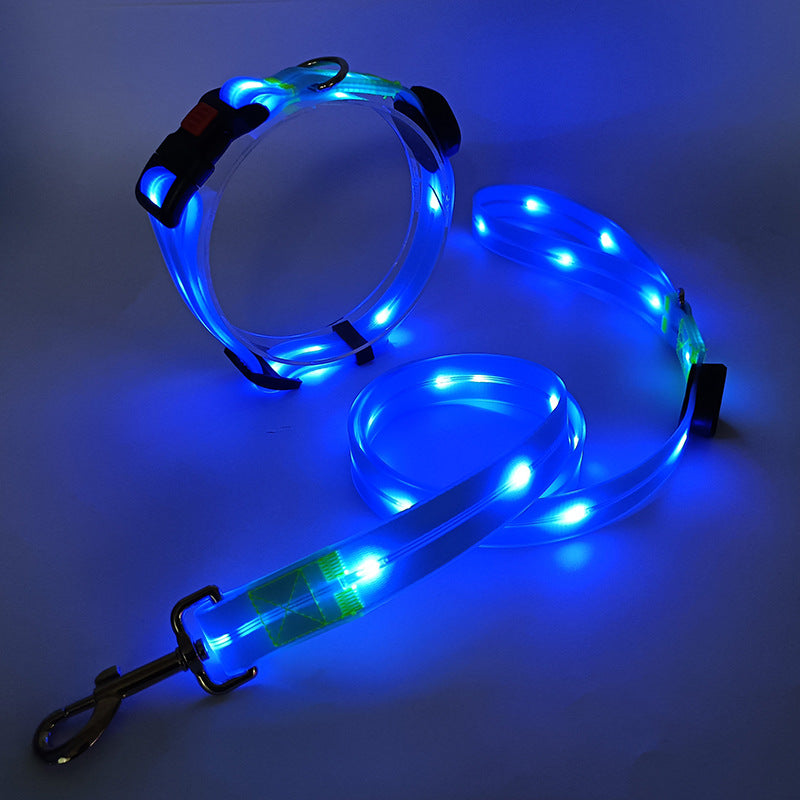 Collare LED luminoso per cani con guinzaglio - NightBright