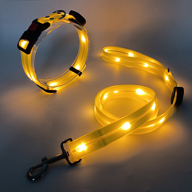 Collare LED luminoso per cani con guinzaglio - NightBright