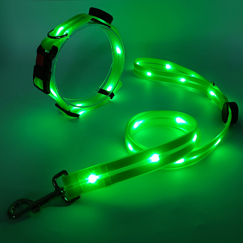 Collare LED luminoso per cani con guinzaglio - NightBright