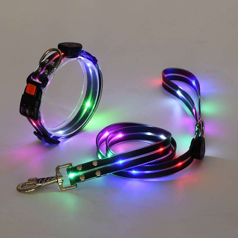 Collare LED luminoso per cani con guinzaglio - NightBright