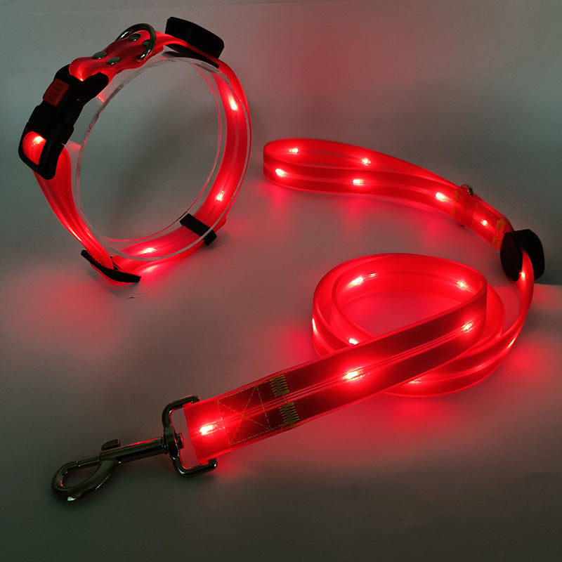 Collare LED luminoso per cani con guinzaglio - NightBright