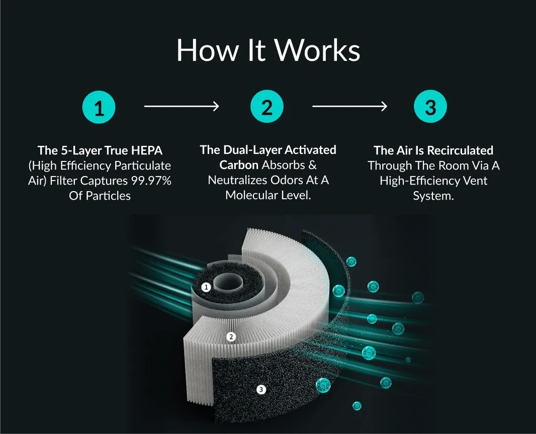 Umidificatore d'Aria Fresca per Animali – PetFresh