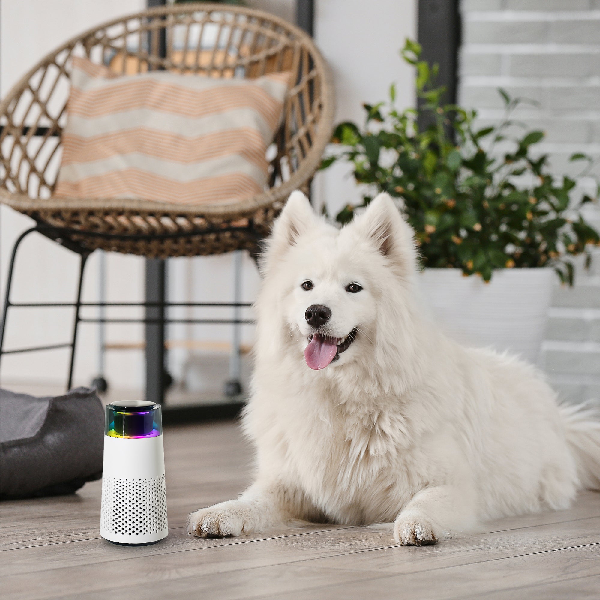 Umidificatore d'Aria Fresca per Animali – PetFresh
