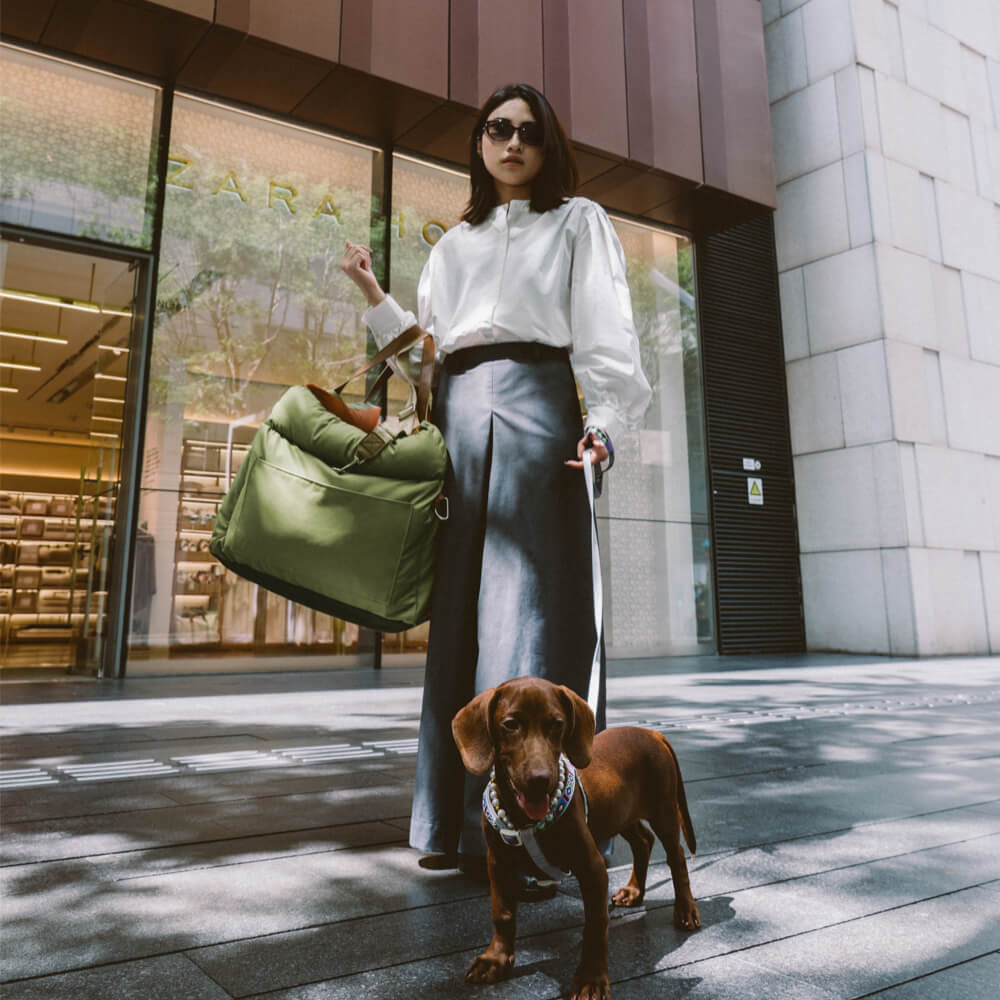 Seggiolino Auto per Cani di Lusso | Viaggiare Confortevole e Sicuro