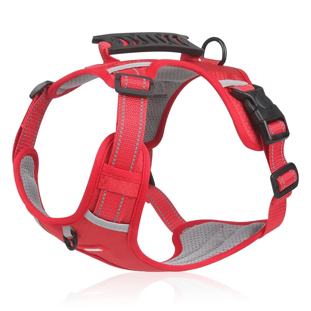 FlexPet Anti-Trek Pettorina per Cani - Traspirante
