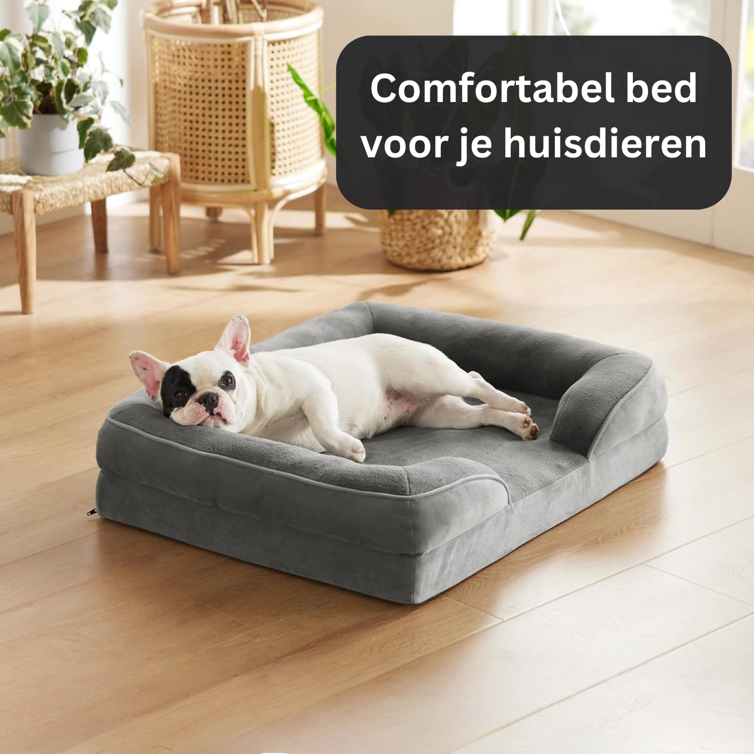 CanineComfort - Letto per Cani Ortopedico