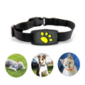 Collier GPS PetSafe pour animaux domestiques - suivi en temps réel, étanche et sans abonnement