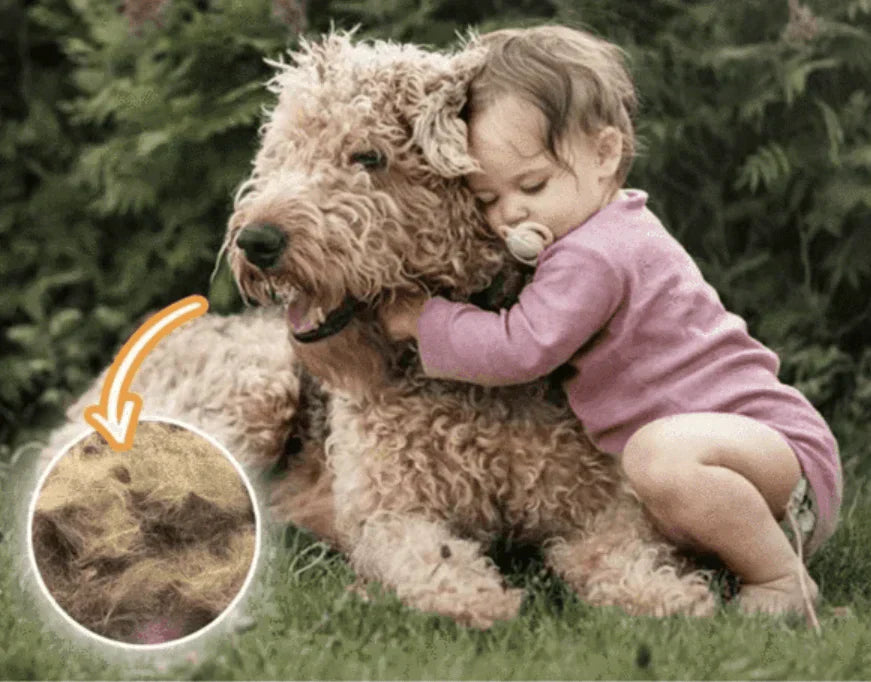 Rimuovi Capelli e Lint Galleggiante – FurFree