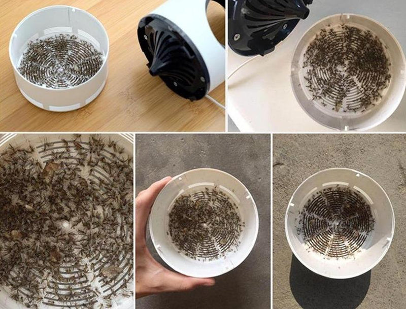 Distruttore Elettrico di Zanzare - Zyntra