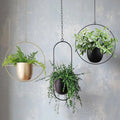 Elegante suspensão para plantas com design minimalista!