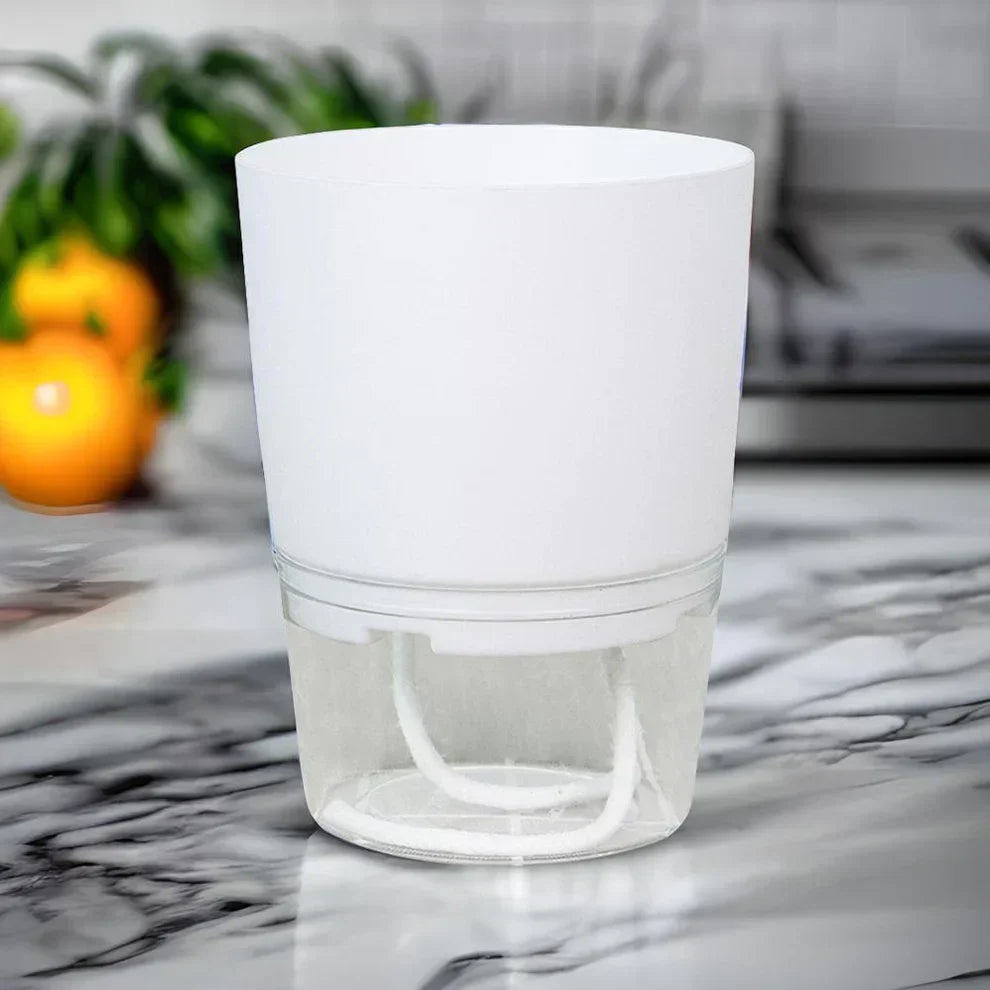 Vaso per Piante Autoinnaffiante – AquaBloom
