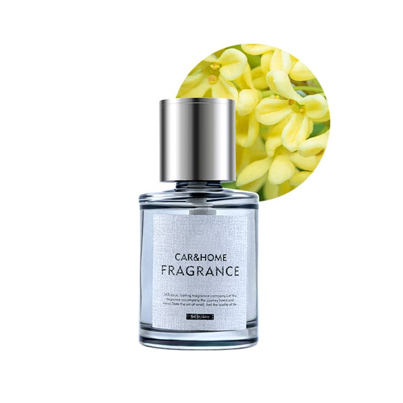 Diffusore di Fragranza per Auto di Lusso - AromaDrive