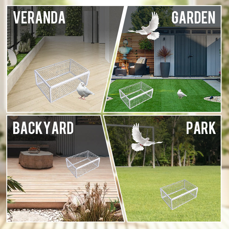 Trappola per Uccelli Gentile con Meccanismo Anti-Ritorno – Trappola BirdSafe