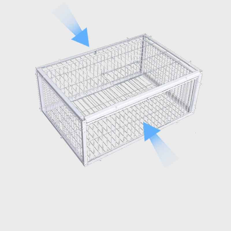 Trappola per Uccelli Gentile con Meccanismo Anti-Ritorno – Trappola BirdSafe