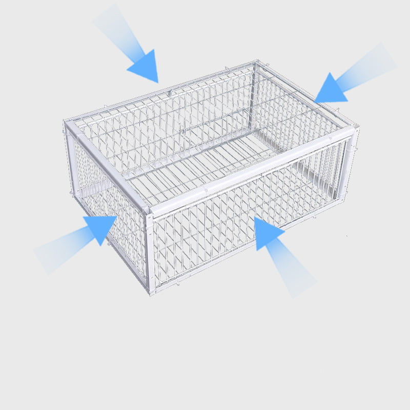 Trappola per Uccelli Gentile con Meccanismo Anti-Ritorno – Trappola BirdSafe