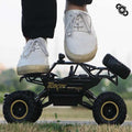 Monster Truck RC Tout-Terrain Ultime 4x4