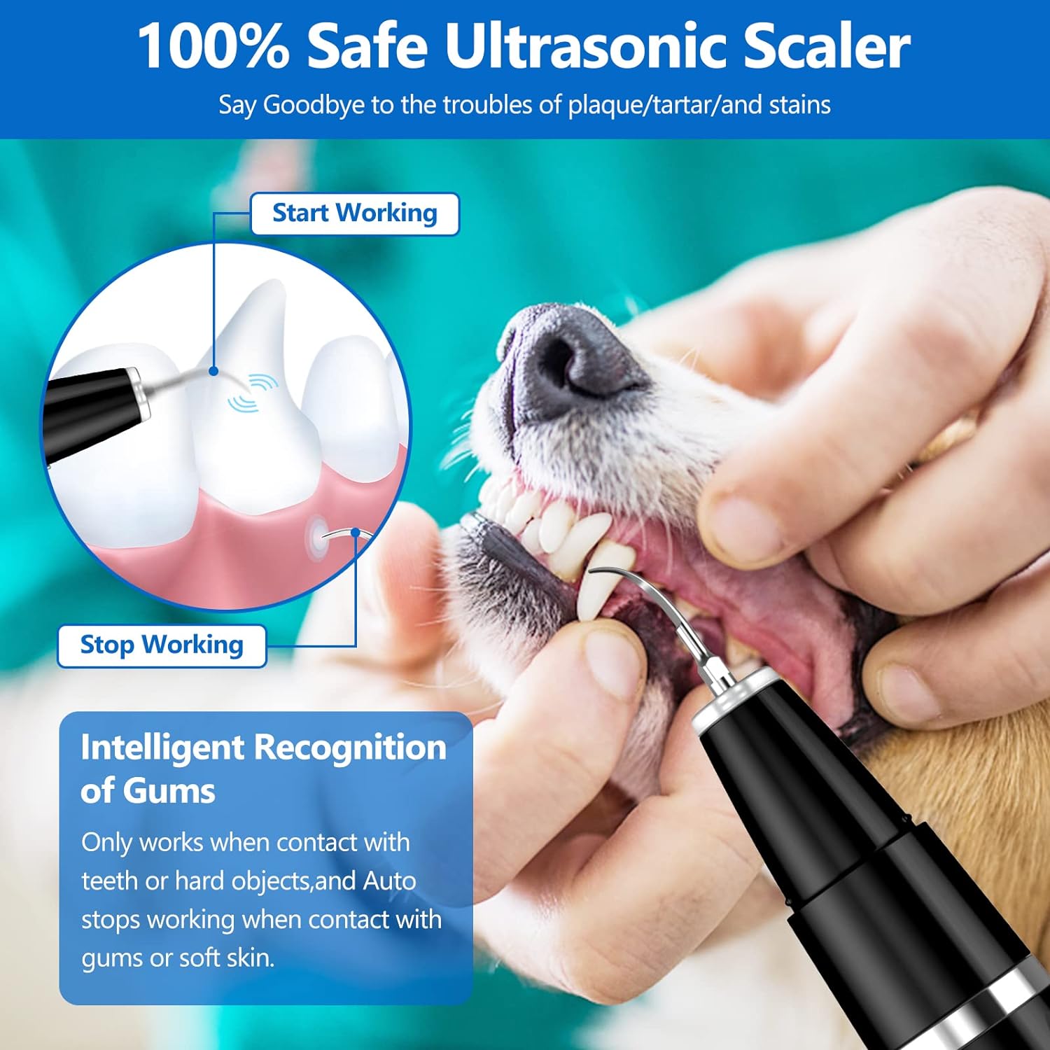 Set di Pulizia dei Denti Ultrasonico per Animali Domestici – BuddyCare